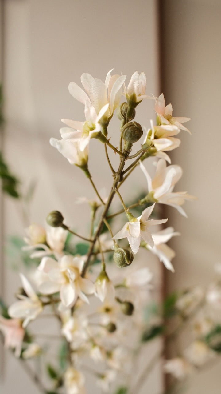 Kunsttak Hyacint tak Creme