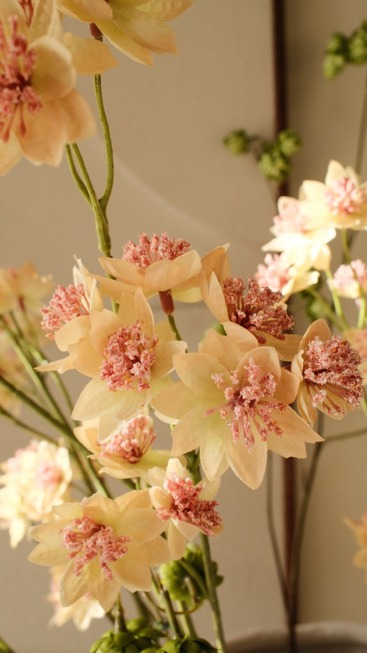 Kunsttak Astrantia tak perzik