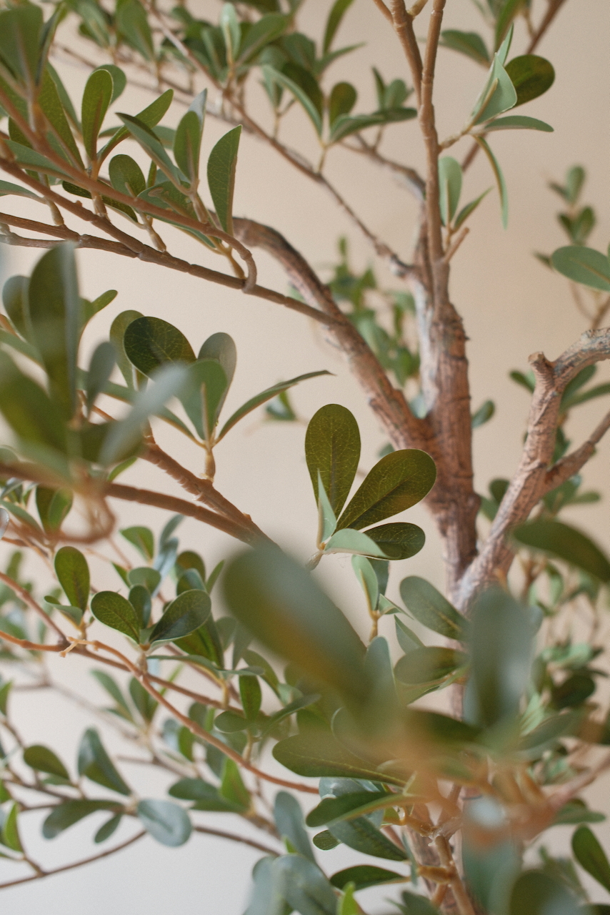 Kunstboom Zwarte olijvenboom 180 cm