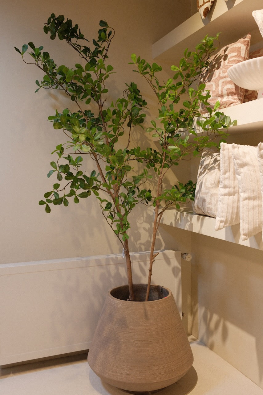 Kunstboom moringa tree 210 cm