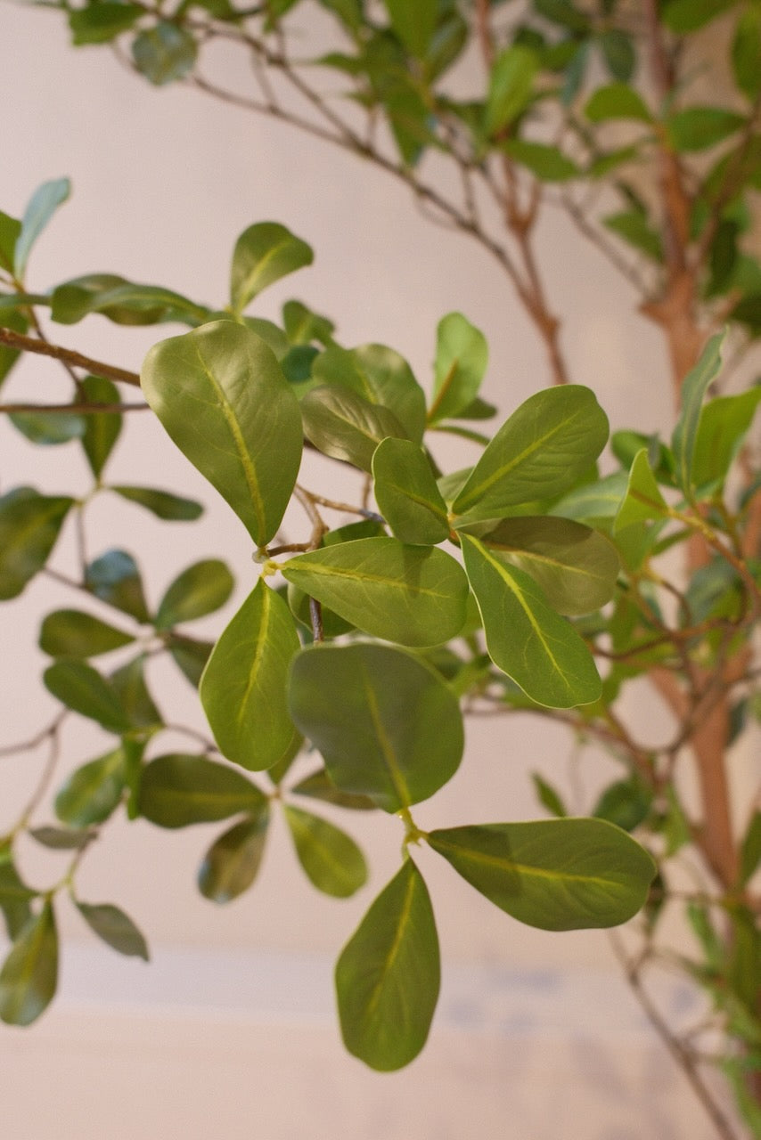 Kunstboom moringa tree 210 cm