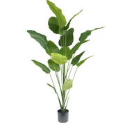 Kunstboom Strelitzia 210cm