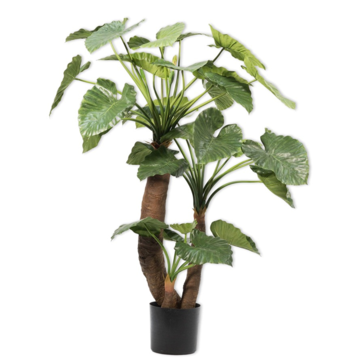 Kunstplant Alocasia groen  170 cm