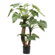 Kunstplant Alocasia groen  170 cm