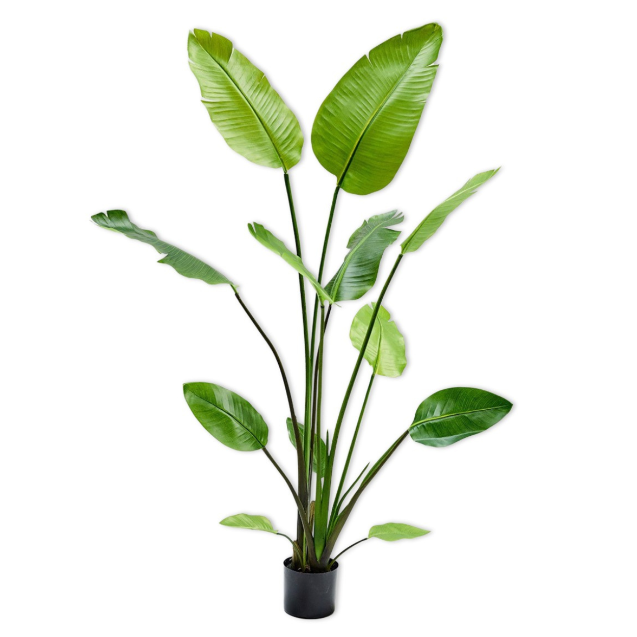 Kunstplant Strelitzia i/pot groen  150 cm