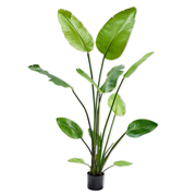 Kunstplant Strelitzia i/pot groen  150 cm