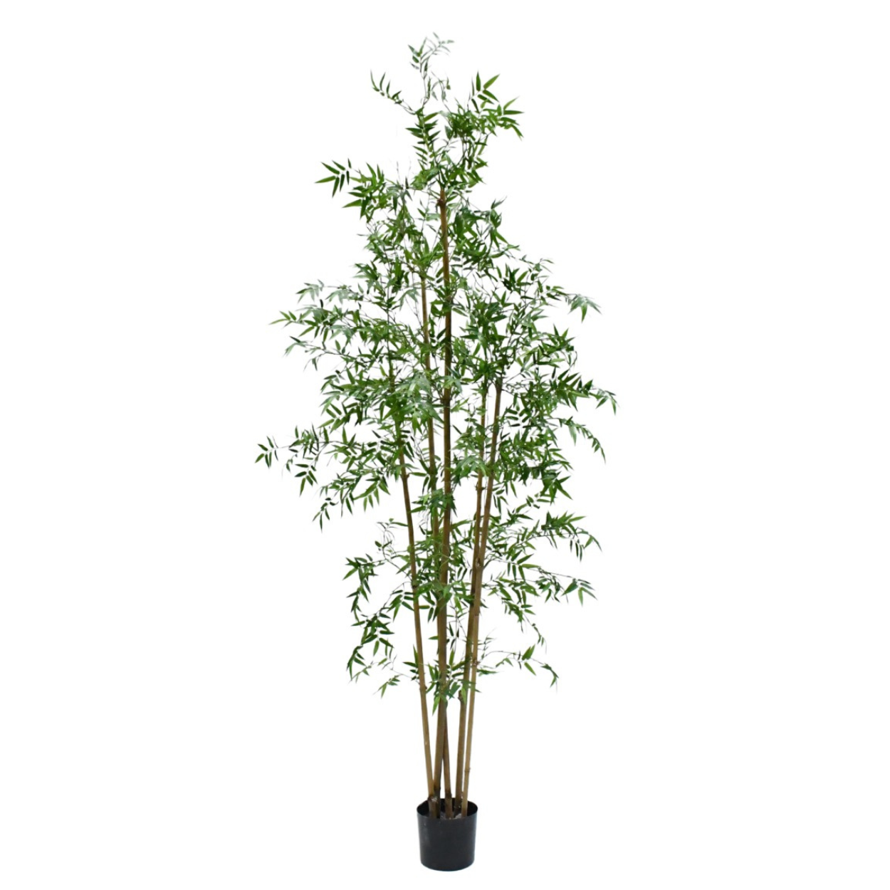 Kunstboom Bamboe i/pot groen  245 cm