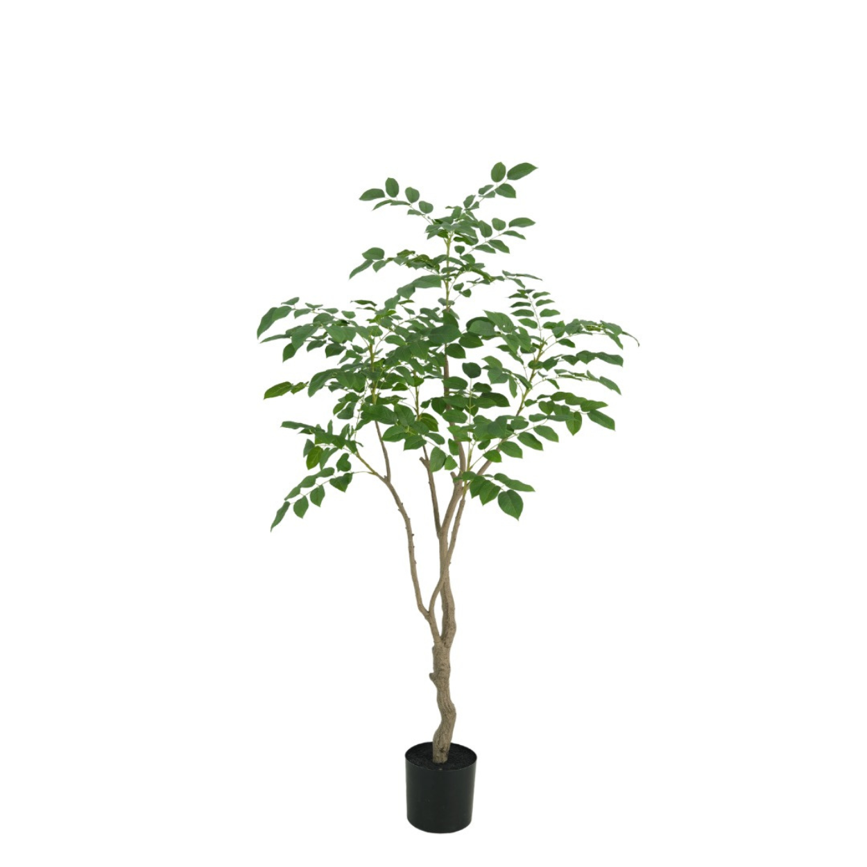 Sandalwood boom 180cm