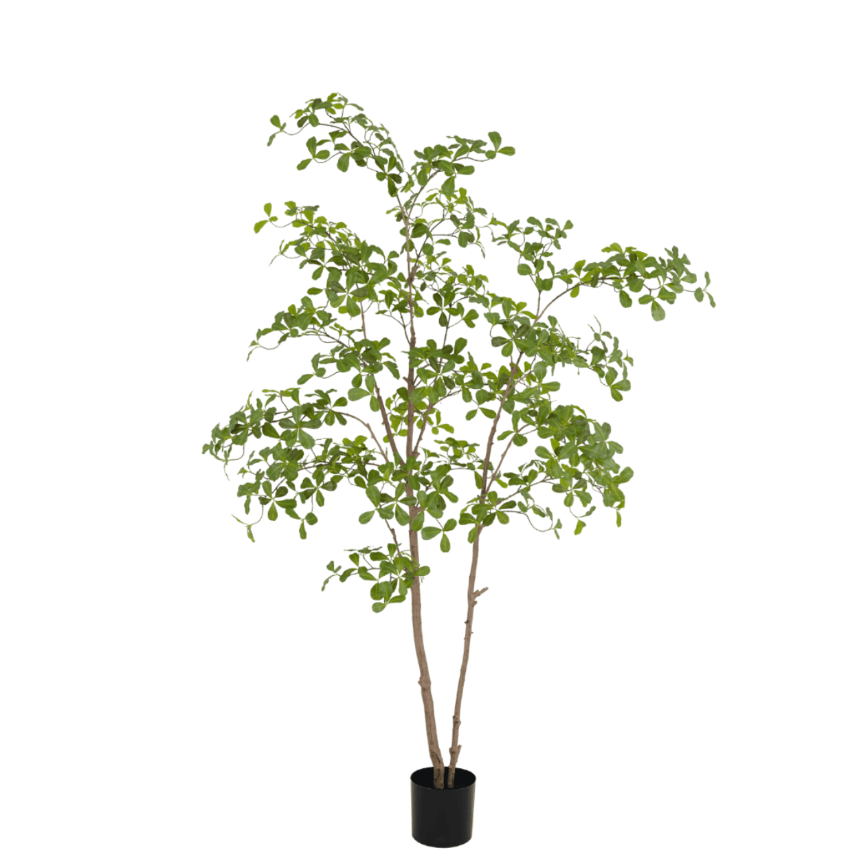 Kunstboom moringa tree 210 cm