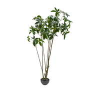 Kunstboom Pachira i/pot groen  230 cm