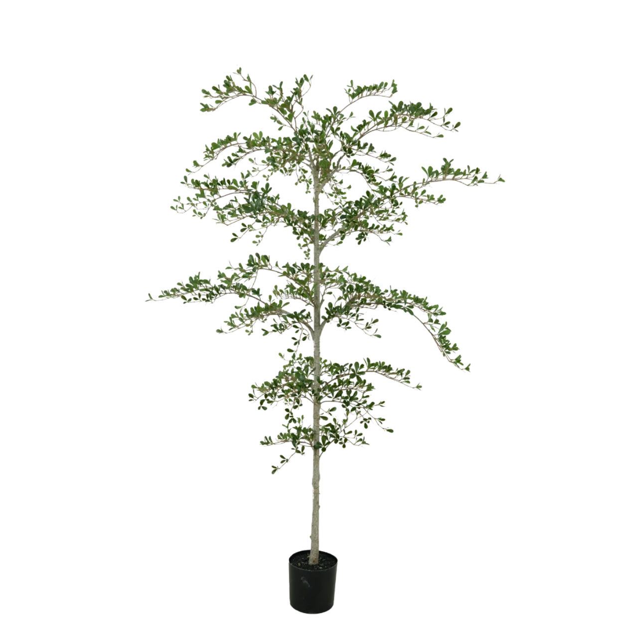 Kunstboom Black Olive 210cm