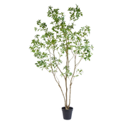 Kunstboom Pieris Japonica 240cm