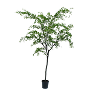 Kunstboom Bucida groen  300 cm