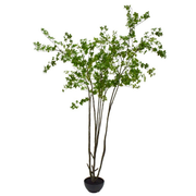 Kunstboom Bucida i/pot groen  250 cm