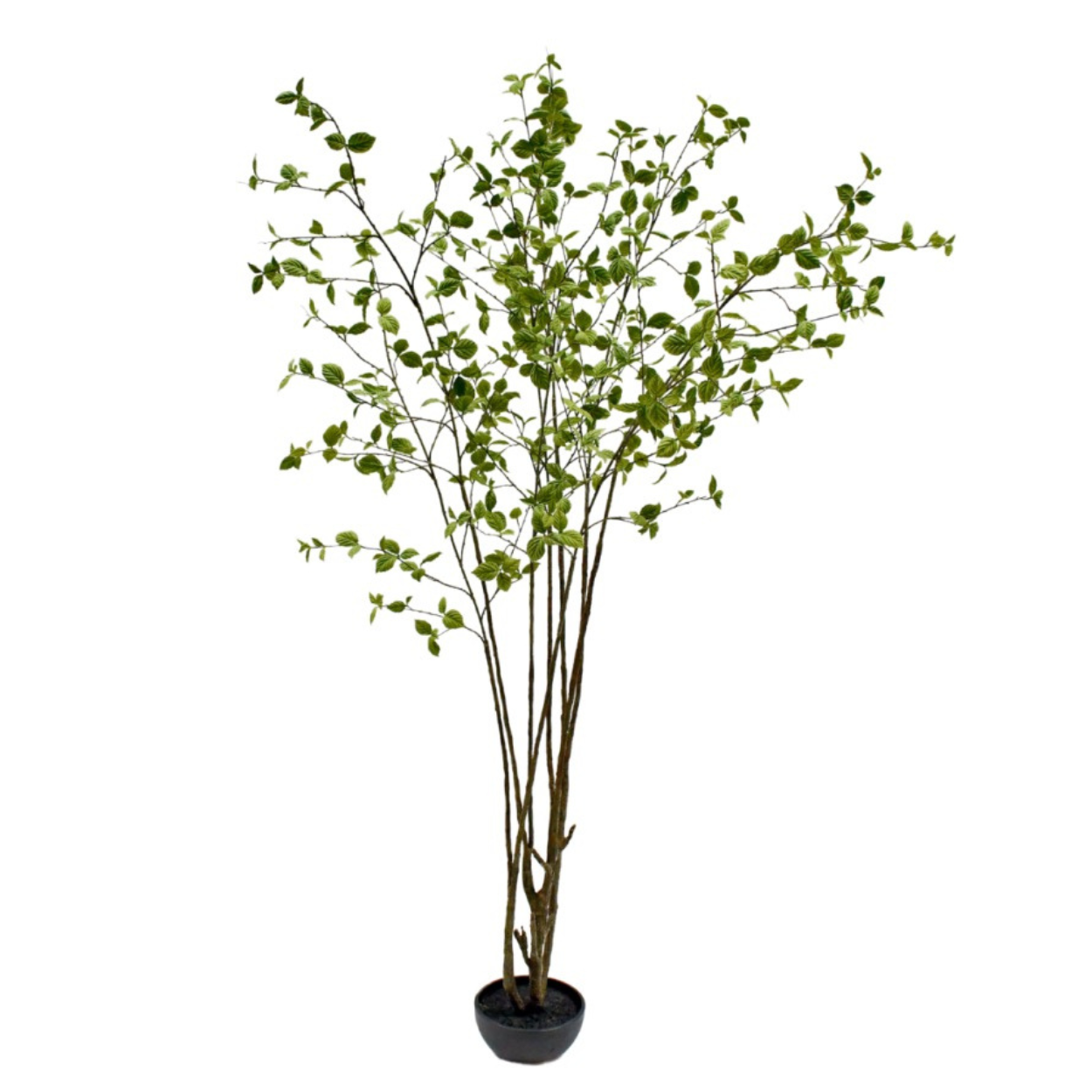 Kunstboom Beuken i/pot groen  260 cm