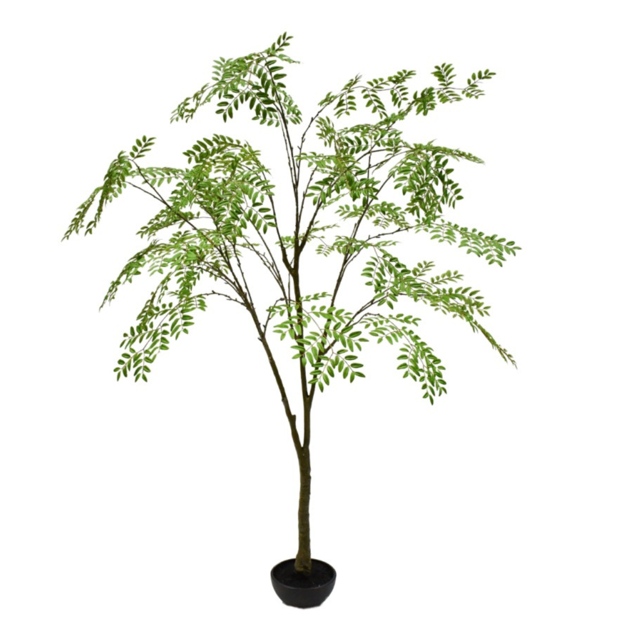 Kunstboom Aralia i/pot groen  210 cm