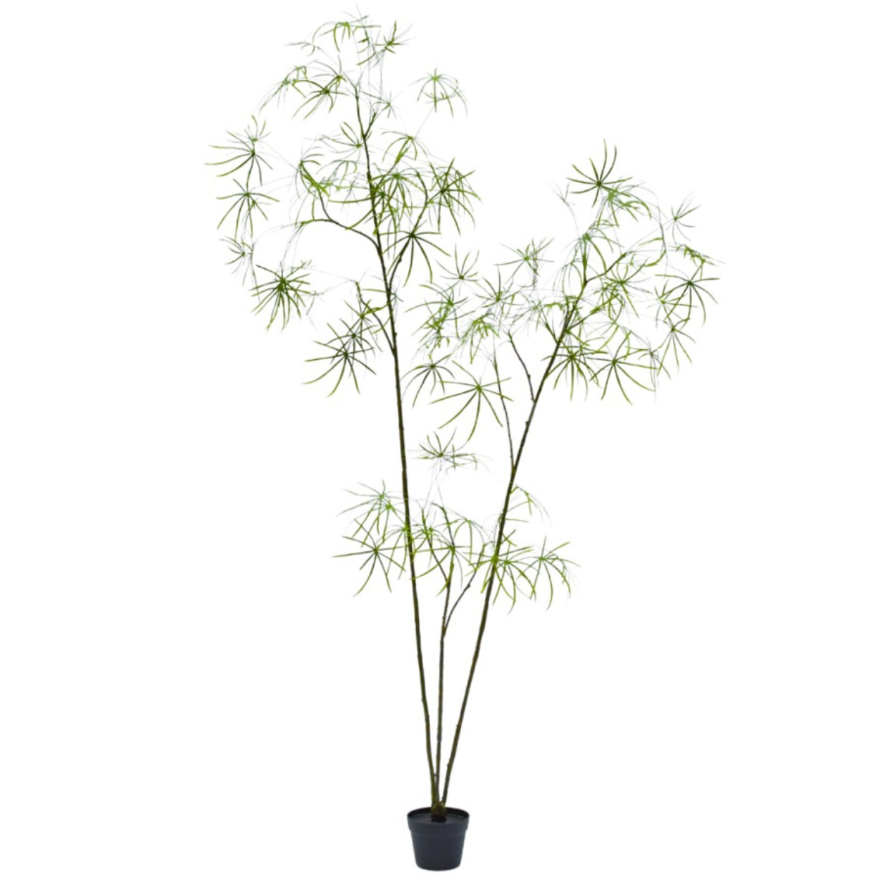 Kunstboom Schefflera i/pot groen  223 cm