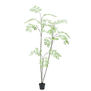 Kunstboom Aralia i/pot groen  235 cm