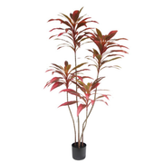 Kunstplant Cordyline i/pot bruin  150 cm