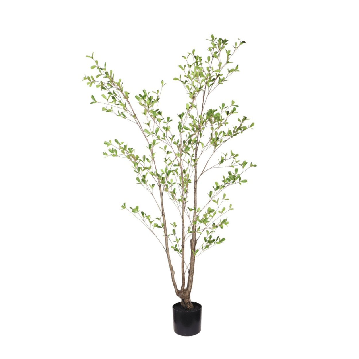 Seren leaf tree 150cm
