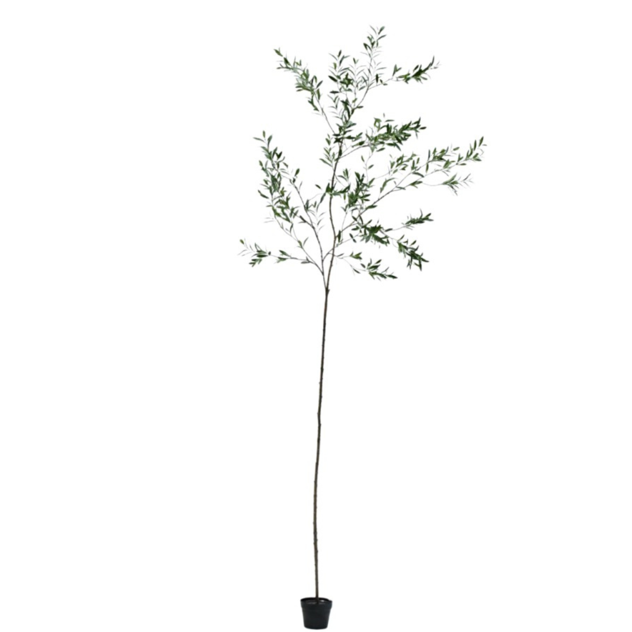 Kunstboom Olijf i/pot groen  298 cm