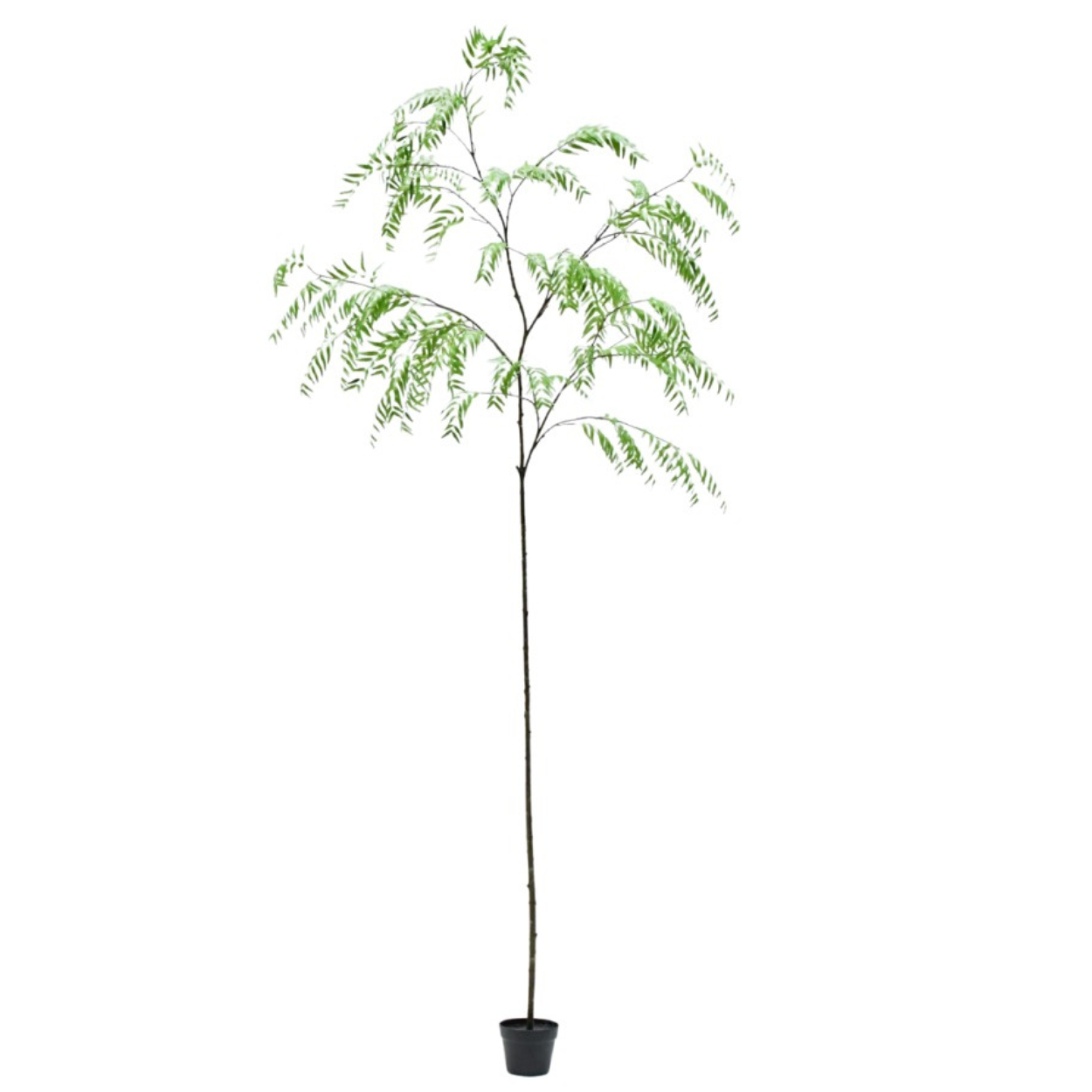 Kunstboom Wilg i/pot groen  293 cm