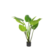 Kunstplant Alocasia 90cm