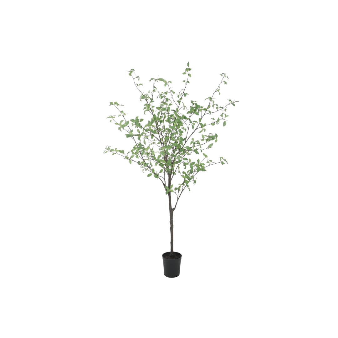 Artificial Pittosporum tree in pot 165 cm 