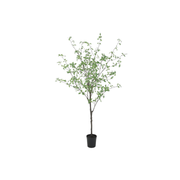Kunstboom Pittosporum in pot 165 cm