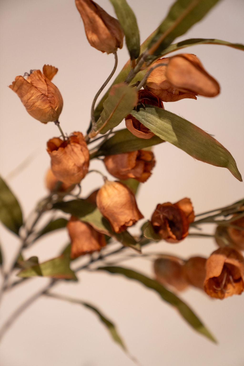 Artificial branch Abutilon spray 105 cm brown 