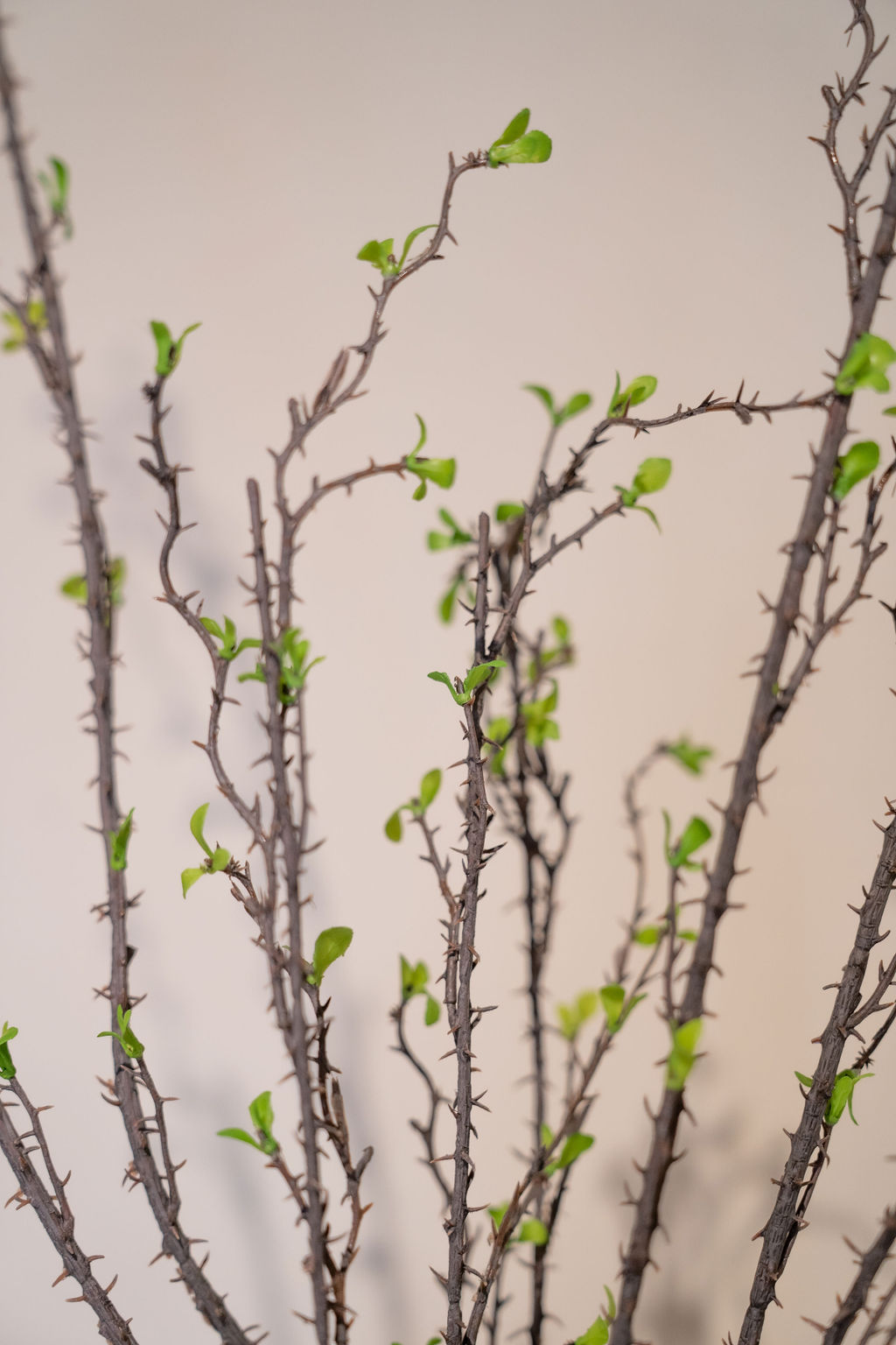 Kunsttak Twig Branch 65 cm