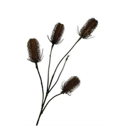 Kunsttak Distel x4 spray 75 cm Donker coffee
