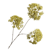 Kunsttak Trachelium Groen 85 cm