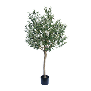 Olijf boom 180cm