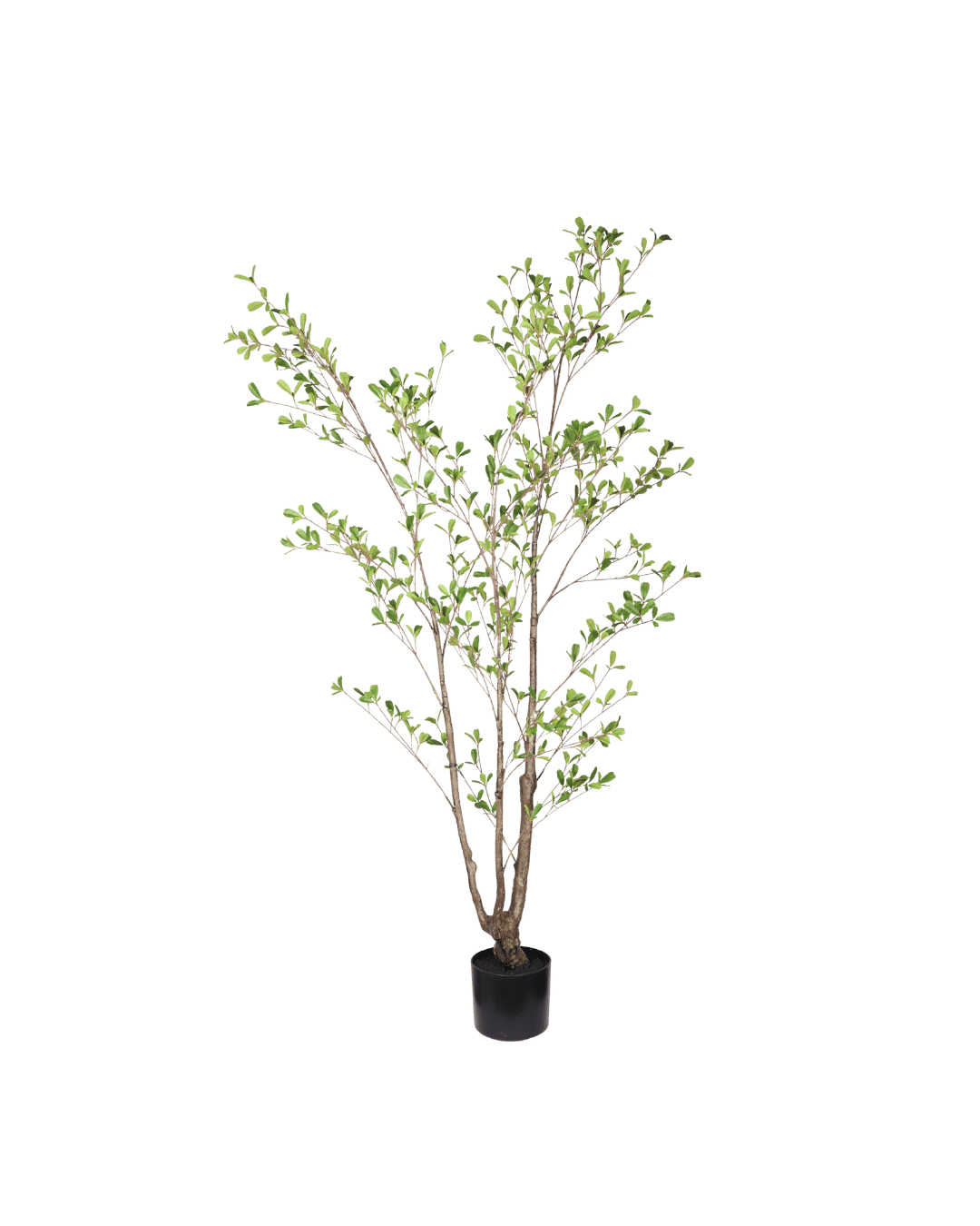 Seren leaf tree 150cm