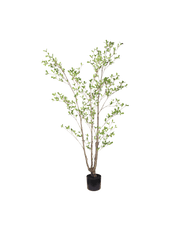 Seren leaf tree 150cm