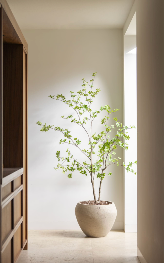 Kunstboom Enkianthus 180cm - W