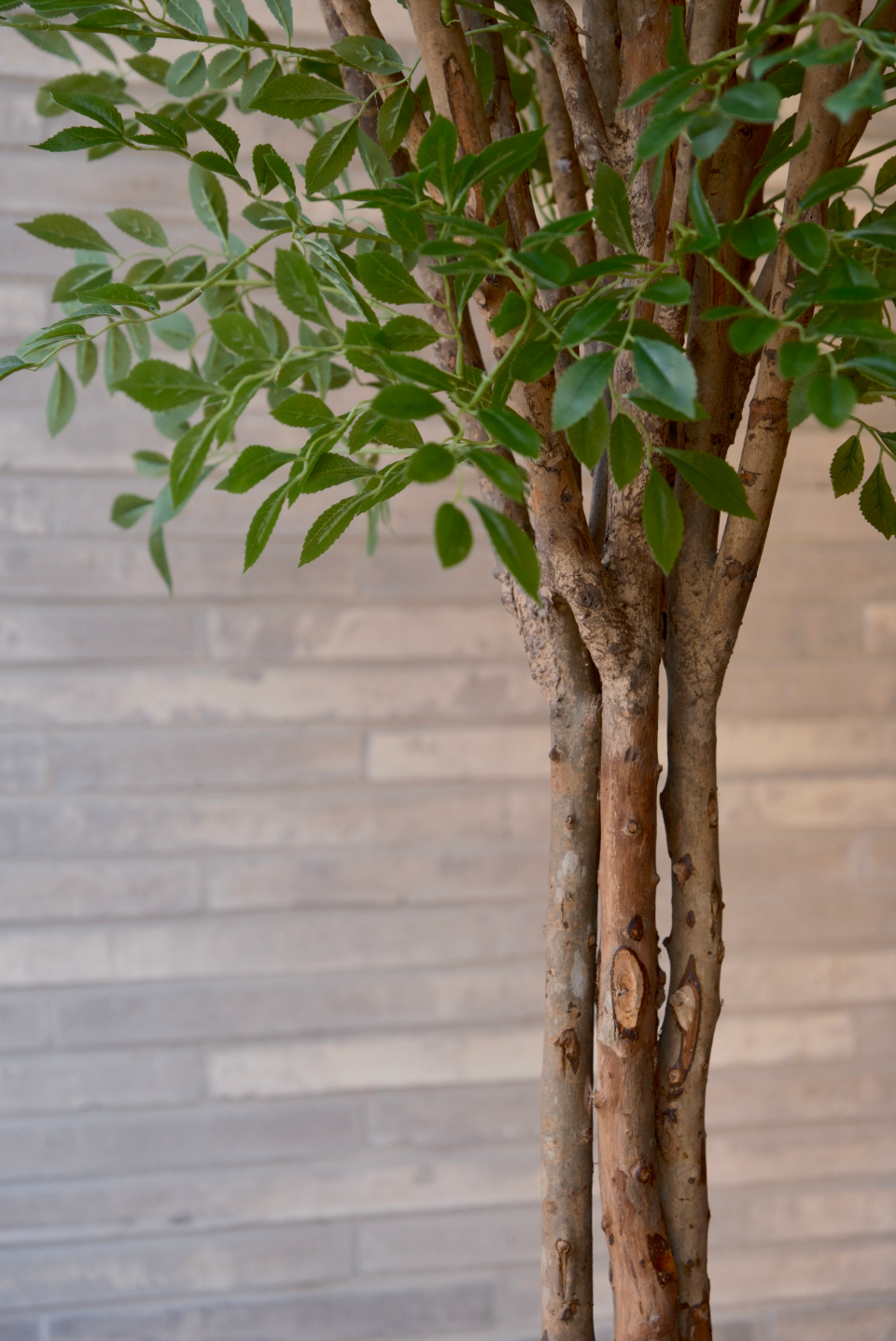 Kunstboom Nandina 180 cm wood