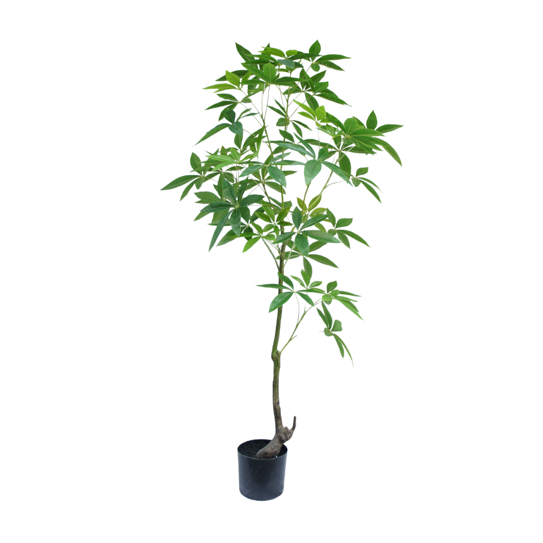 Kunstboom Schefflera 150cm