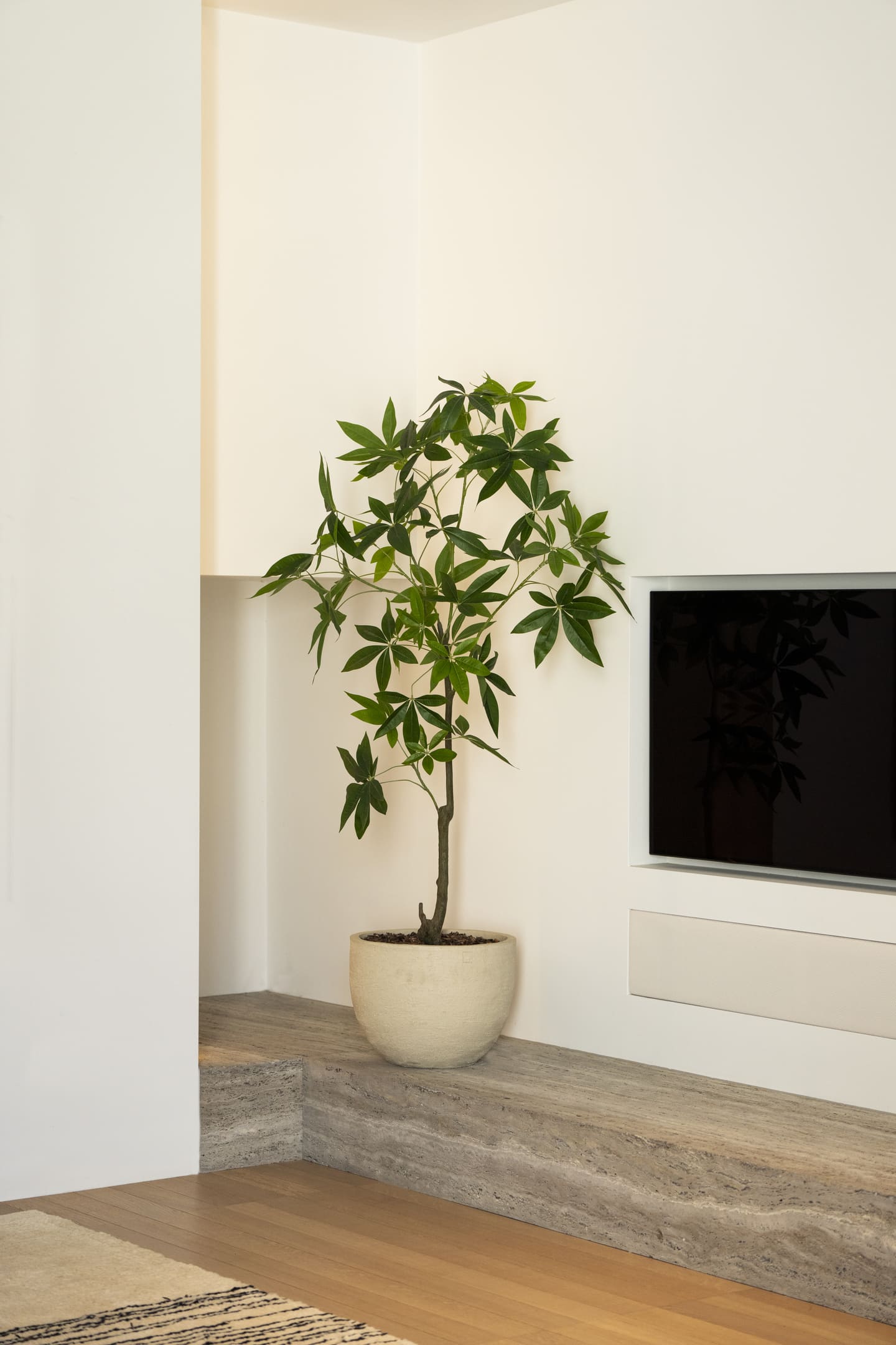 Kunstboom Schefflera 150cm