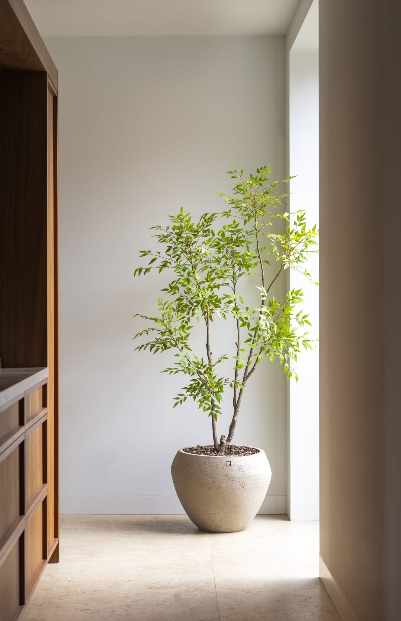 Kunstboom Nandina 180cm