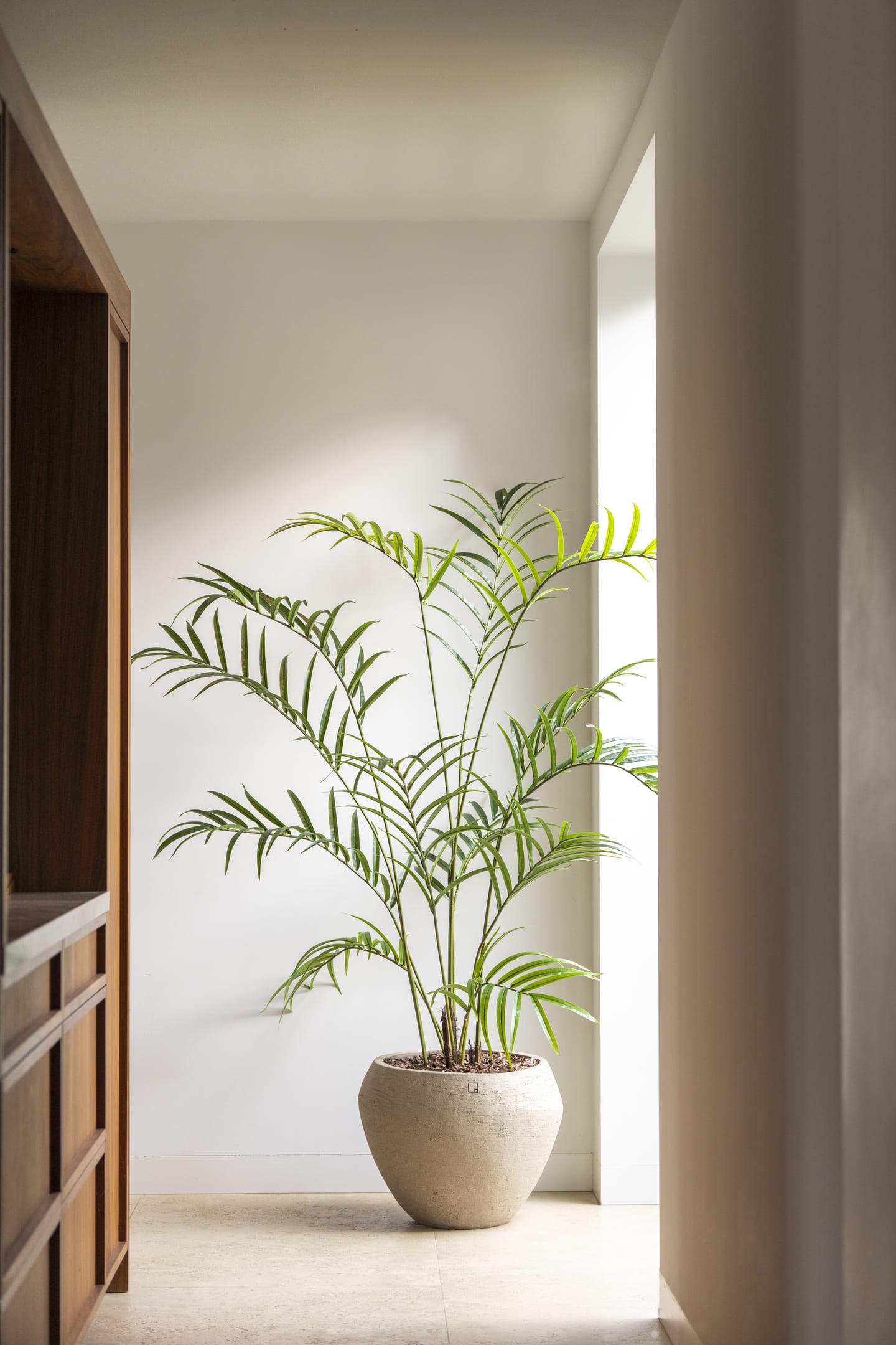 Kunstboom Palm 210cm