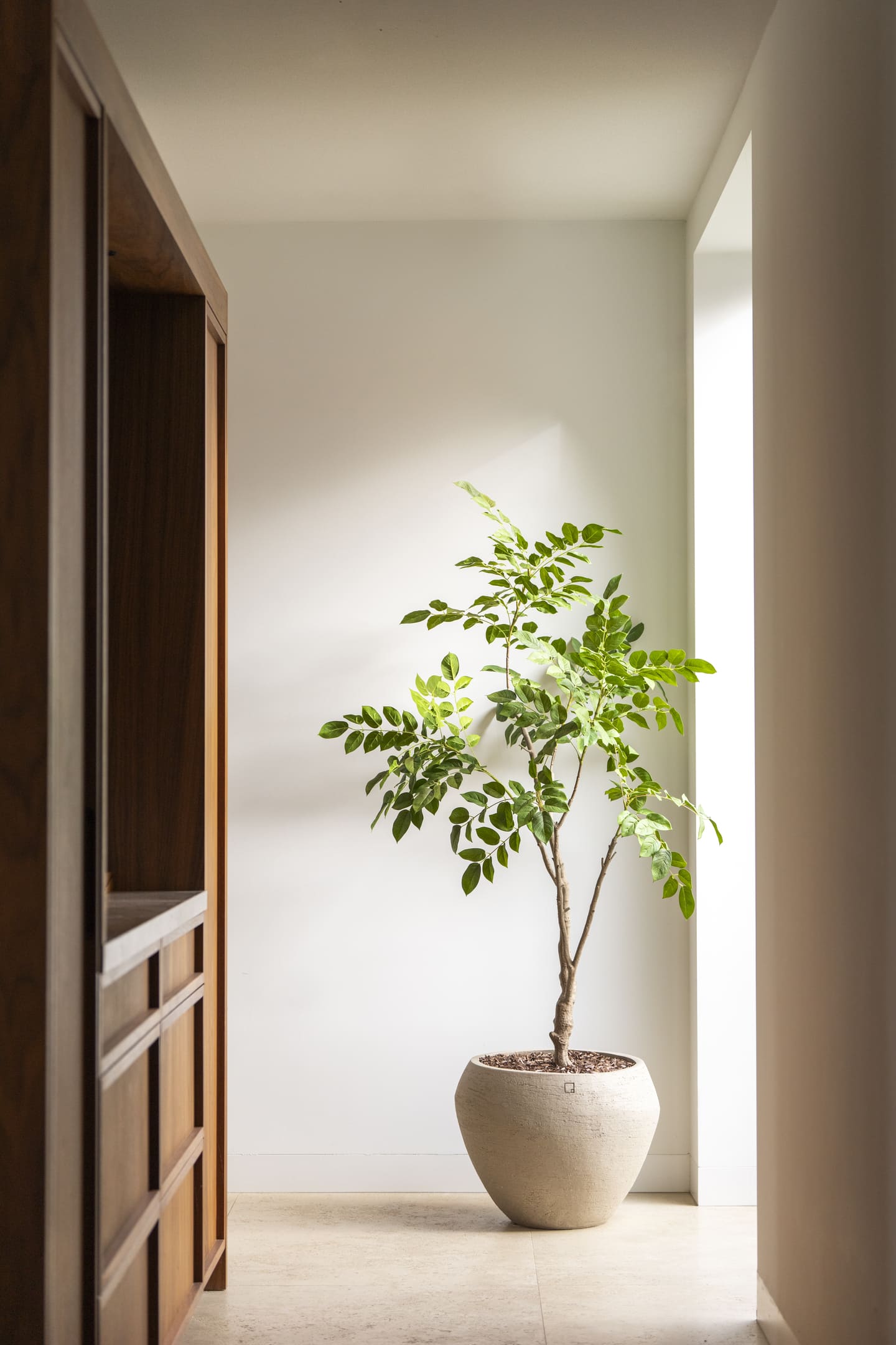 Kunstboom Sandalwood 180cm