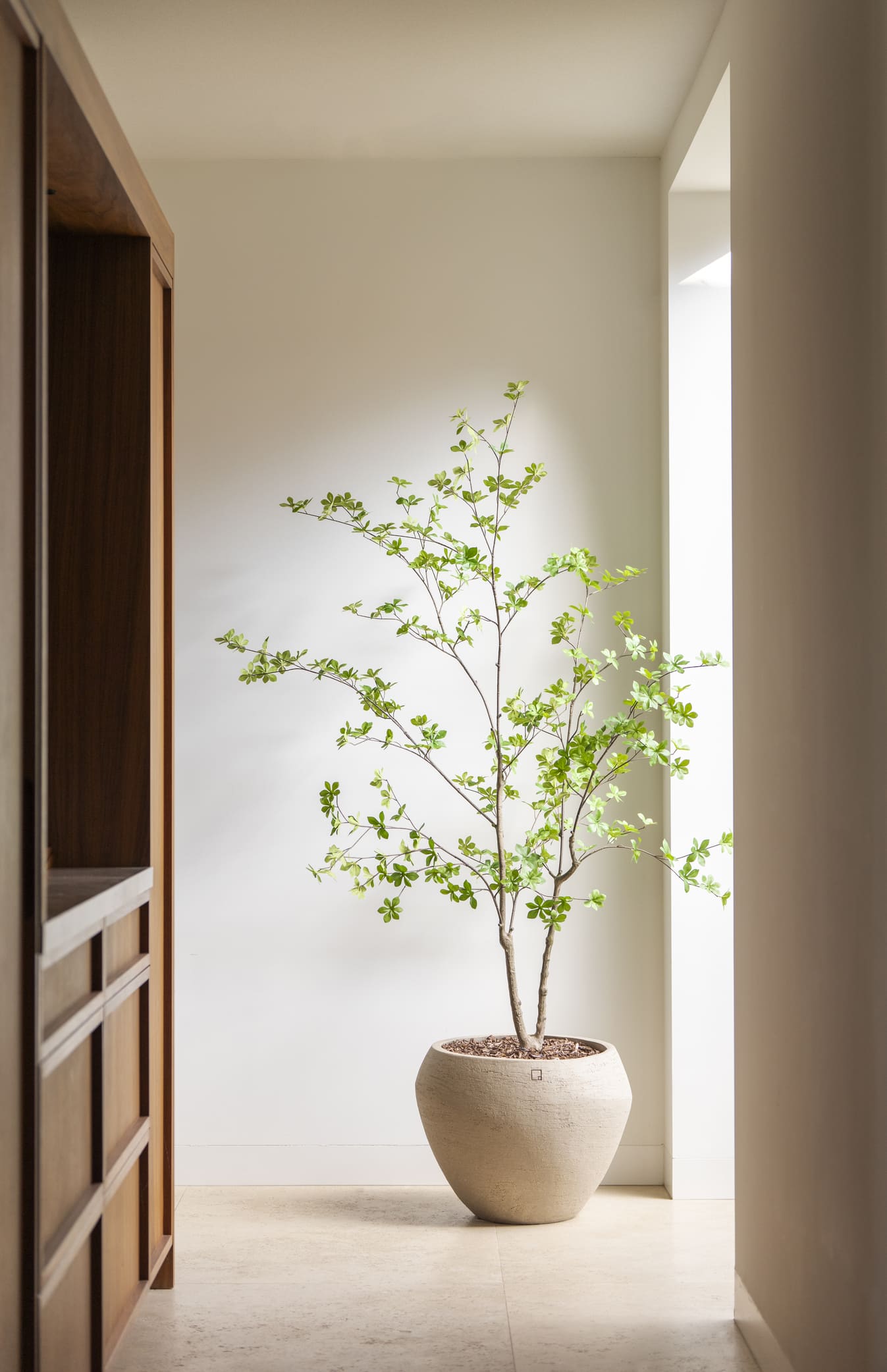 Kunstboom Enkianthus 180cm