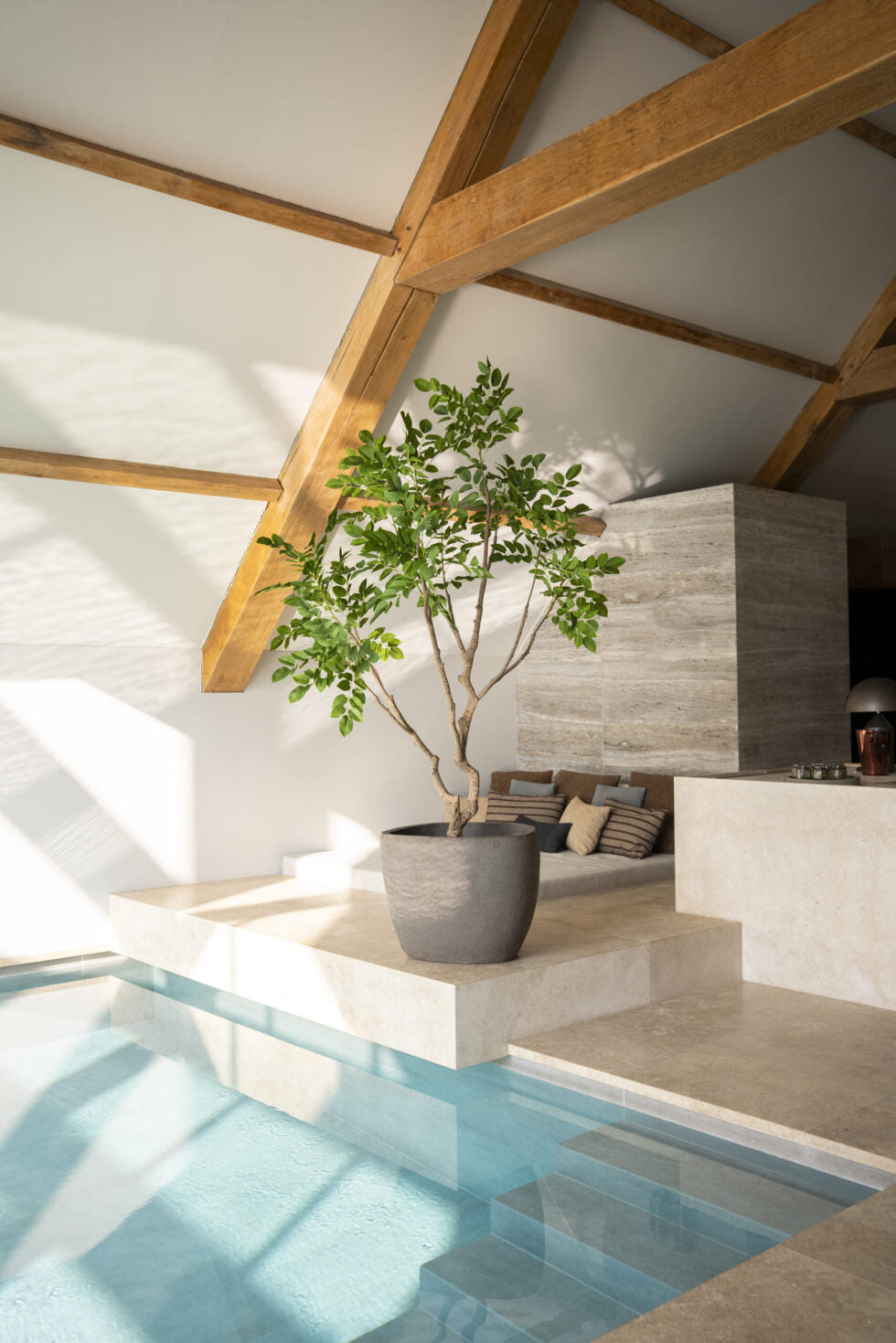 Kunstboom sandalwood 240 cm