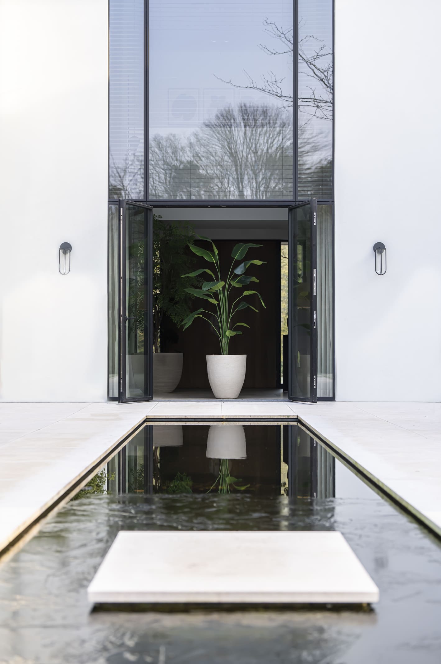 Kunstboom Strelitzia 210cm