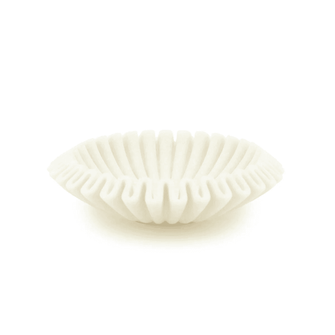 Scale Yona L