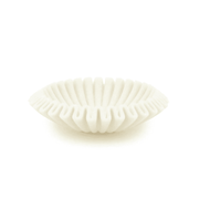 Scale Yona L