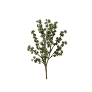 Eucalyptus Berry Spray 76cm