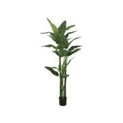 Kunsboom Musa Coccinea 220 cm